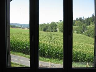 Wohnen grosses Einzelbettzimmer Fensterblick