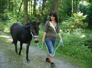 Tiere pflegen ausführen Sarah und Kali