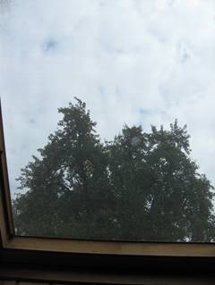 Wohnen Dachzimmer Fensterblick zu Baumkrone